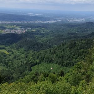 Neuer Windsack der Drachenflieger Althof