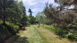 Arbeitseinsatz an der Naturschanze der Althofdrachen